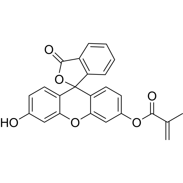 Fluorescein O-methacrylate 480439-15-4